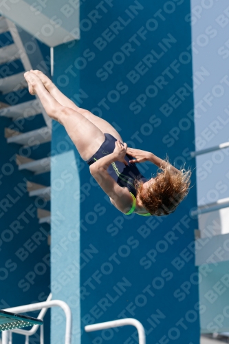 2017 - 8. Sofia Diving Cup 2017 - 8. Sofia Diving Cup 03012_02956.jpg