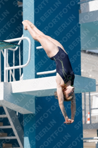 2017 - 8. Sofia Diving Cup 2017 - 8. Sofia Diving Cup 03012_02958.jpg