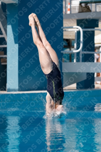 2017 - 8. Sofia Diving Cup 2017 - 8. Sofia Diving Cup 03012_02961.jpg