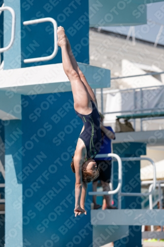 2017 - 8. Sofia Diving Cup 2017 - 8. Sofia Diving Cup 03012_03014.jpg