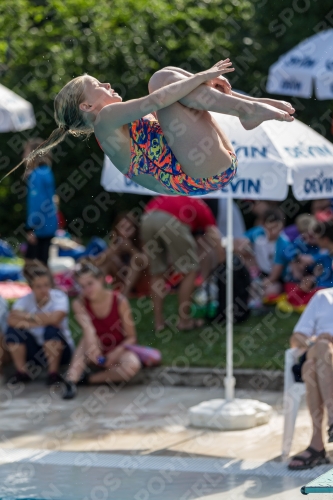 2017 - 8. Sofia Diving Cup 2017 - 8. Sofia Diving Cup 03012_03039.jpg