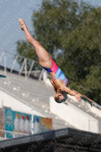 2017 - 8. Sofia Diving Cup 2017 - 8. Sofia Diving Cup 03012_03087.jpg