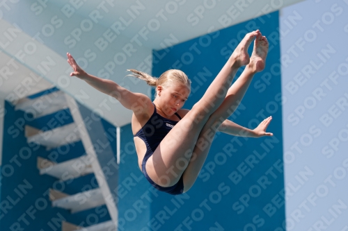 2017 - 8. Sofia Diving Cup 2017 - 8. Sofia Diving Cup 03012_03123.jpg