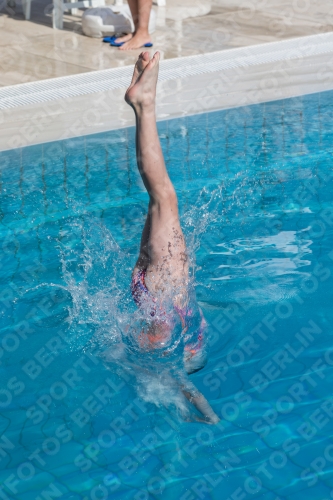 2017 - 8. Sofia Diving Cup 2017 - 8. Sofia Diving Cup 03012_03196.jpg