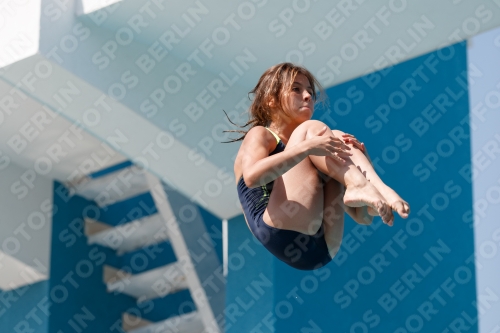 2017 - 8. Sofia Diving Cup 2017 - 8. Sofia Diving Cup 03012_03203.jpg
