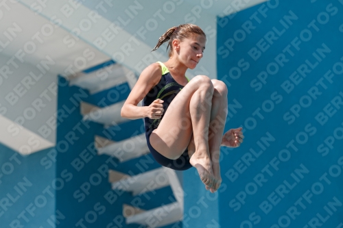 2017 - 8. Sofia Diving Cup 2017 - 8. Sofia Diving Cup 03012_03258.jpg