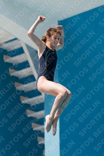 2017 - 8. Sofia Diving Cup 2017 - 8. Sofia Diving Cup 03012_03282.jpg