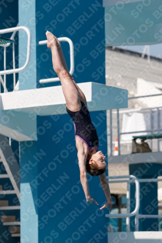 2017 - 8. Sofia Diving Cup 2017 - 8. Sofia Diving Cup 03012_03297.jpg