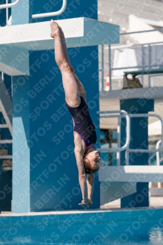 2017 - 8. Sofia Diving Cup 2017 - 8. Sofia Diving Cup 03012_03298.jpg