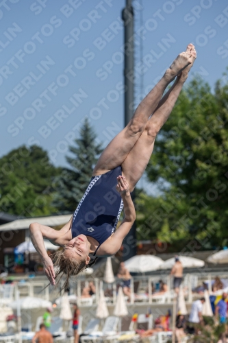 2017 - 8. Sofia Diving Cup 2017 - 8. Sofia Diving Cup 03012_03333.jpg