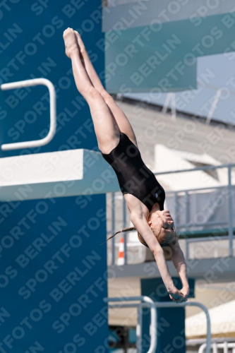2017 - 8. Sofia Diving Cup 2017 - 8. Sofia Diving Cup 03012_03348.jpg