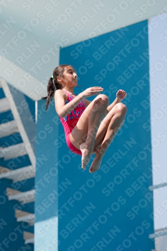 2017 - 8. Sofia Diving Cup 2017 - 8. Sofia Diving Cup 03012_03432.jpg