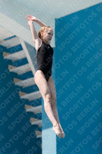 2017 - 8. Sofia Diving Cup 2017 - 8. Sofia Diving Cup 03012_03479.jpg