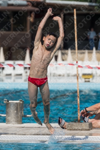 2017 - 8. Sofia Diving Cup 2017 - 8. Sofia Diving Cup 03012_03527.jpg