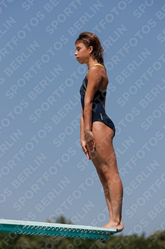 2017 - 8. Sofia Diving Cup 2017 - 8. Sofia Diving Cup 03012_03563.jpg