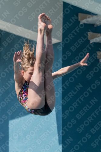 2017 - 8. Sofia Diving Cup 2017 - 8. Sofia Diving Cup 03012_03588.jpg