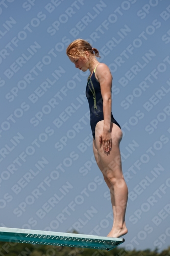 2017 - 8. Sofia Diving Cup 2017 - 8. Sofia Diving Cup 03012_03602.jpg