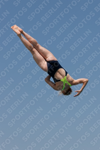 2017 - 8. Sofia Diving Cup 2017 - 8. Sofia Diving Cup 03012_03613.jpg