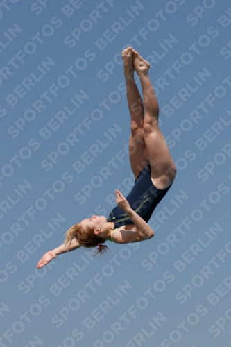 2017 - 8. Sofia Diving Cup 2017 - 8. Sofia Diving Cup 03012_03616.jpg