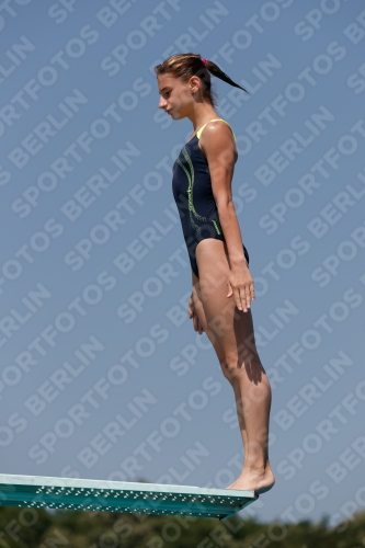 2017 - 8. Sofia Diving Cup 2017 - 8. Sofia Diving Cup 03012_03646.jpg