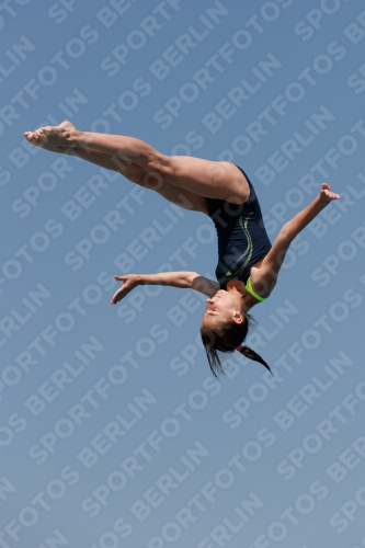 2017 - 8. Sofia Diving Cup 2017 - 8. Sofia Diving Cup 03012_03654.jpg