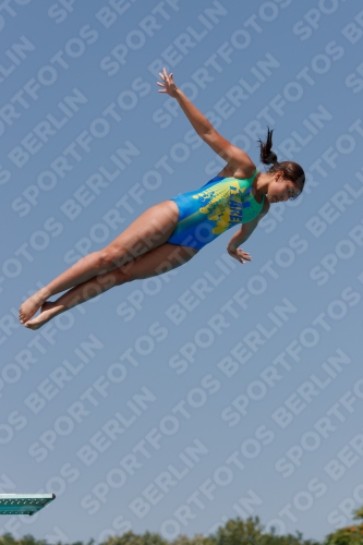2017 - 8. Sofia Diving Cup 2017 - 8. Sofia Diving Cup 03012_03668.jpg