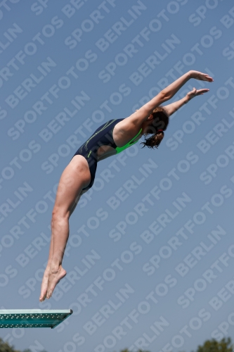 2017 - 8. Sofia Diving Cup 2017 - 8. Sofia Diving Cup 03012_03720.jpg