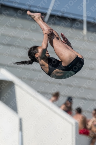 2017 - 8. Sofia Diving Cup 2017 - 8. Sofia Diving Cup 03012_03728.jpg