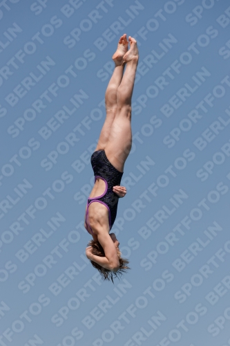 2017 - 8. Sofia Diving Cup 2017 - 8. Sofia Diving Cup 03012_03746.jpg