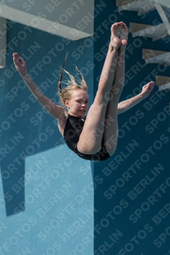 2017 - 8. Sofia Diving Cup 2017 - 8. Sofia Diving Cup 03012_03855.jpg