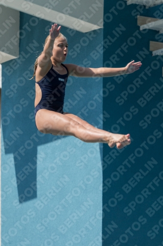 2017 - 8. Sofia Diving Cup 2017 - 8. Sofia Diving Cup 03012_03876.jpg