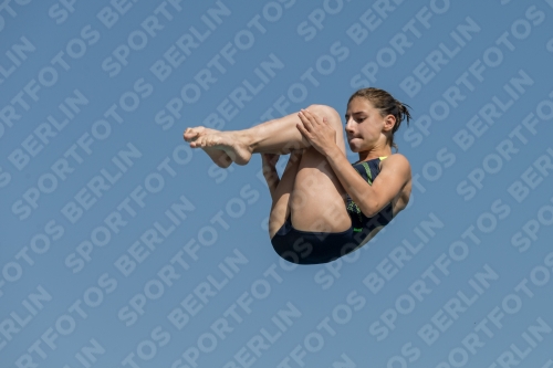 2017 - 8. Sofia Diving Cup 2017 - 8. Sofia Diving Cup 03012_03919.jpg