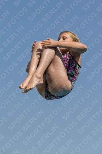 2017 - 8. Sofia Diving Cup 2017 - 8. Sofia Diving Cup 03012_03984.jpg