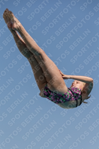 2017 - 8. Sofia Diving Cup 2017 - 8. Sofia Diving Cup 03012_03986.jpg