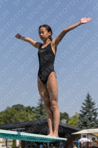 2017 - 8. Sofia Diving Cup 2017 - 8. Sofia Diving Cup 03012_03990.jpg