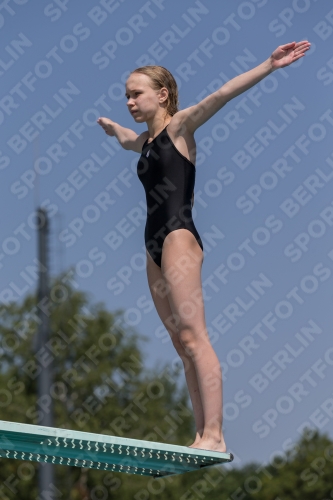 2017 - 8. Sofia Diving Cup 2017 - 8. Sofia Diving Cup 03012_04056.jpg