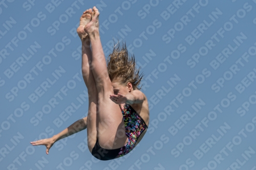 2017 - 8. Sofia Diving Cup 2017 - 8. Sofia Diving Cup 03012_04079.jpg