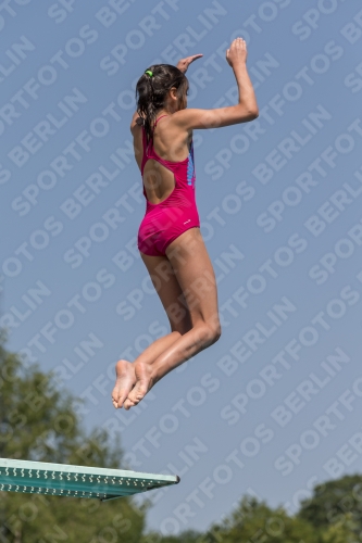 2017 - 8. Sofia Diving Cup 2017 - 8. Sofia Diving Cup 03012_04148.jpg