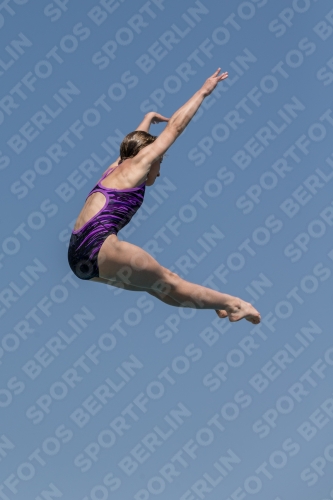 2017 - 8. Sofia Diving Cup 2017 - 8. Sofia Diving Cup 03012_04175.jpg