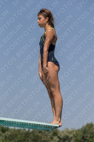 2017 - 8. Sofia Diving Cup 2017 - 8. Sofia Diving Cup 03012_04306.jpg