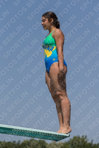 2017 - 8. Sofia Diving Cup 2017 - 8. Sofia Diving Cup 03012_04401.jpg