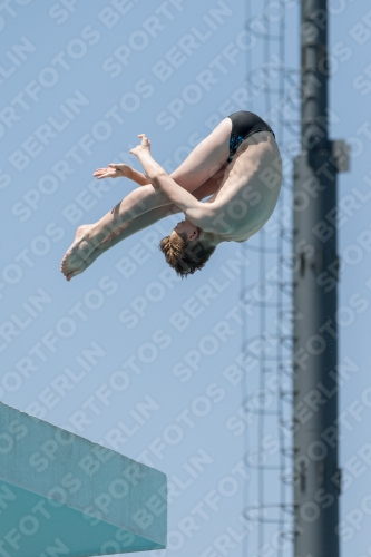 2017 - 8. Sofia Diving Cup 2017 - 8. Sofia Diving Cup 03012_04760.jpg