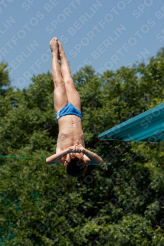 2017 - 8. Sofia Diving Cup 2017 - 8. Sofia Diving Cup 03012_05231.jpg