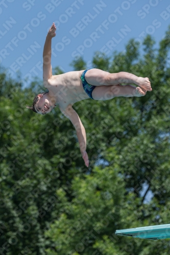 2017 - 8. Sofia Diving Cup 2017 - 8. Sofia Diving Cup 03012_05405.jpg