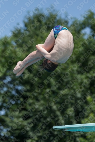 2017 - 8. Sofia Diving Cup 2017 - 8. Sofia Diving Cup 03012_05557.jpg