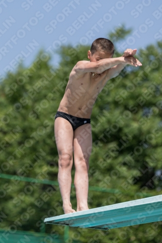 2017 - 8. Sofia Diving Cup 2017 - 8. Sofia Diving Cup 03012_05604.jpg