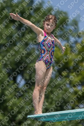2017 - 8. Sofia Diving Cup 2017 - 8. Sofia Diving Cup 03012_05621.jpg