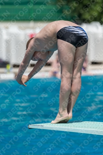 2017 - 8. Sofia Diving Cup 2017 - 8. Sofia Diving Cup 03012_05662.jpg