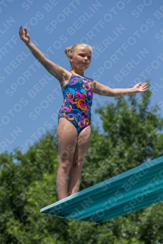 2017 - 8. Sofia Diving Cup 2017 - 8. Sofia Diving Cup 03012_05745.jpg