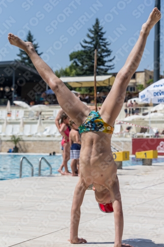 2017 - 8. Sofia Diving Cup 2017 - 8. Sofia Diving Cup 03012_05941.jpg